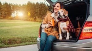 What to Know About Traveling with Pets