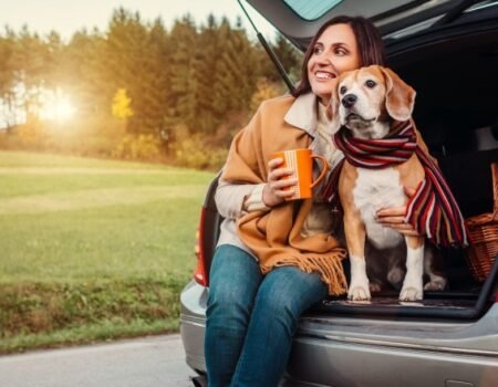 What to Know About Traveling with Pets